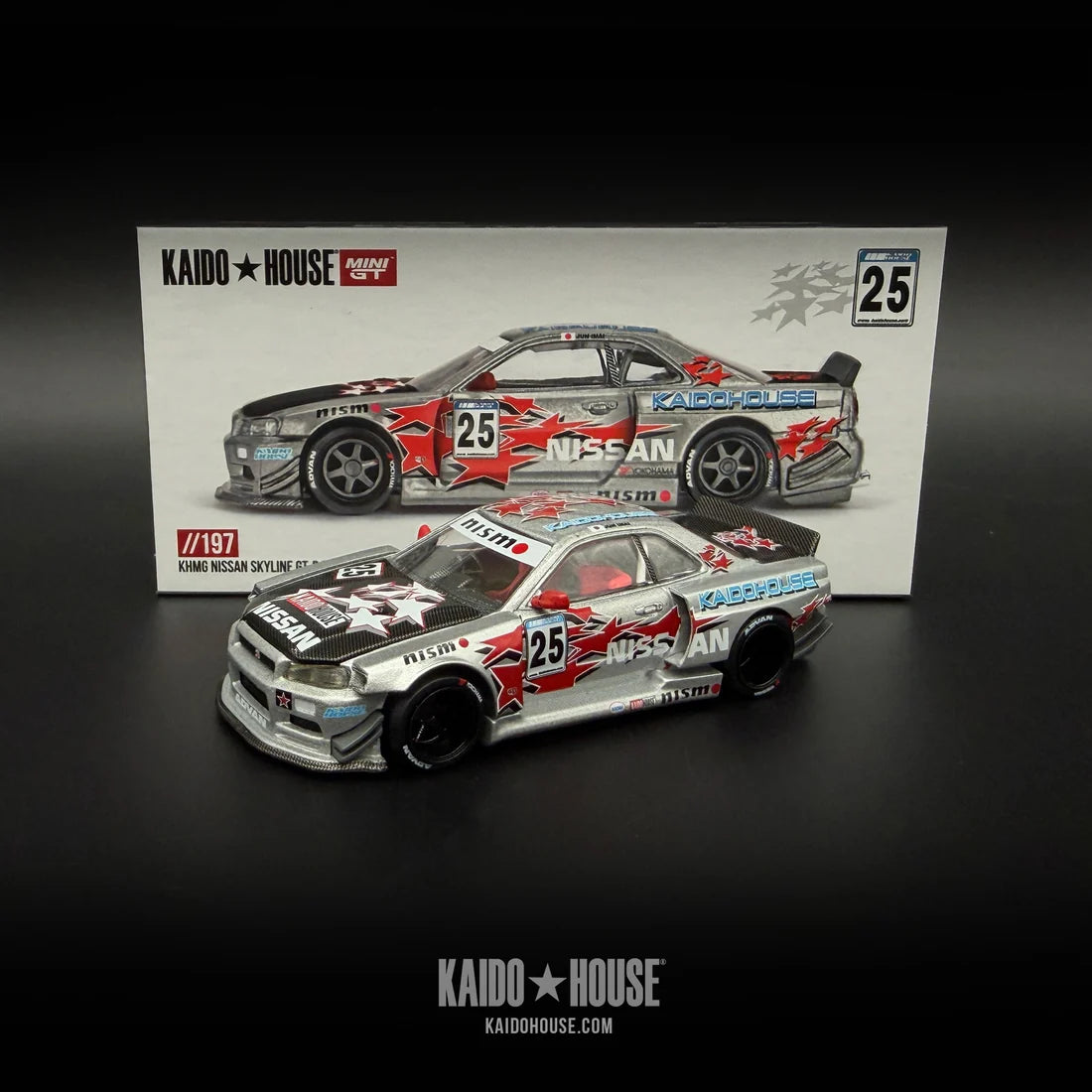 Kaido GT Nissan Skyline GT-R (R34) Kaido Star Racing V1